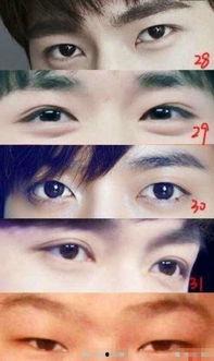 怎么八卦明星,明星八卦背后的故事与真相