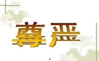 尊严资料,探寻自我价值与人生意义