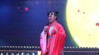 金艺芬照片,镜头下的优雅与魅力