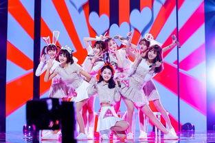 网红 101,揭秘网络红人的崛起之路