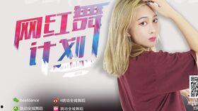 网红 101,揭秘网络红人的崛起之路