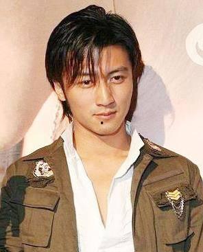 谢霆锋在娱乐圈的地位,华语娱乐圈的璀璨明星与多面手