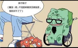 口袋妖怪搞笑漫画,萌宠们的爆笑日常