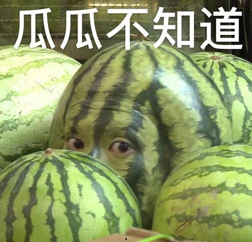 西瓜头王鹤棣表情包,萌态尽显，笑翻网友