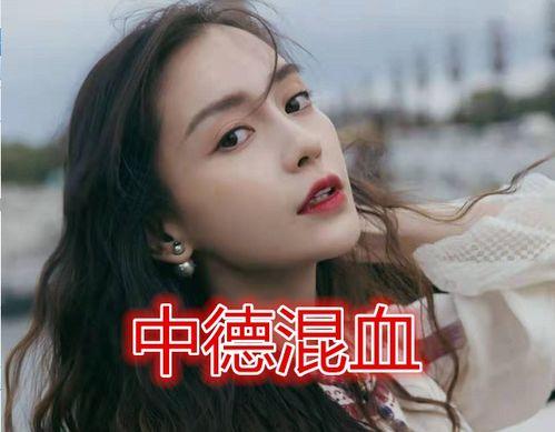 中泰混血的明星,中泰明星的独特风采