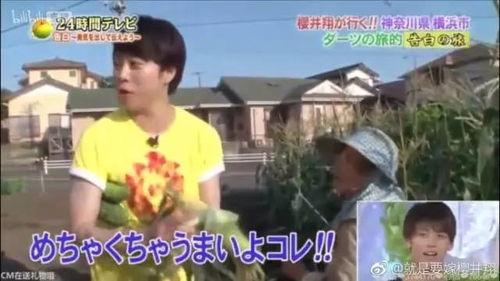 搞笑煽情段子小品大全,小品段子大盘点