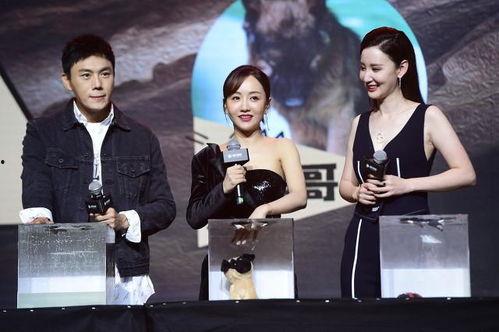 娱乐圈吃瓜爆料每日一推