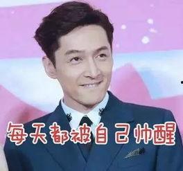 胡歌好帅表情包,魅力四溢，瞬间点燃粉丝热情