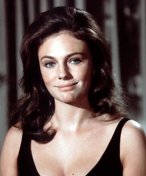 演员杰奎琳,璀璨银幕的永恒之星